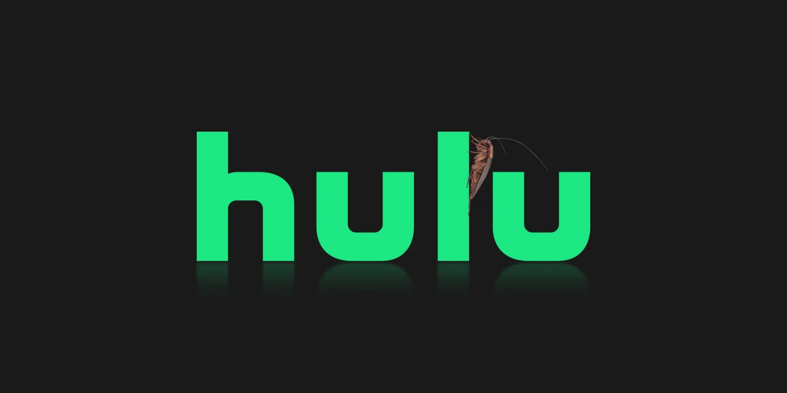 hulu bug